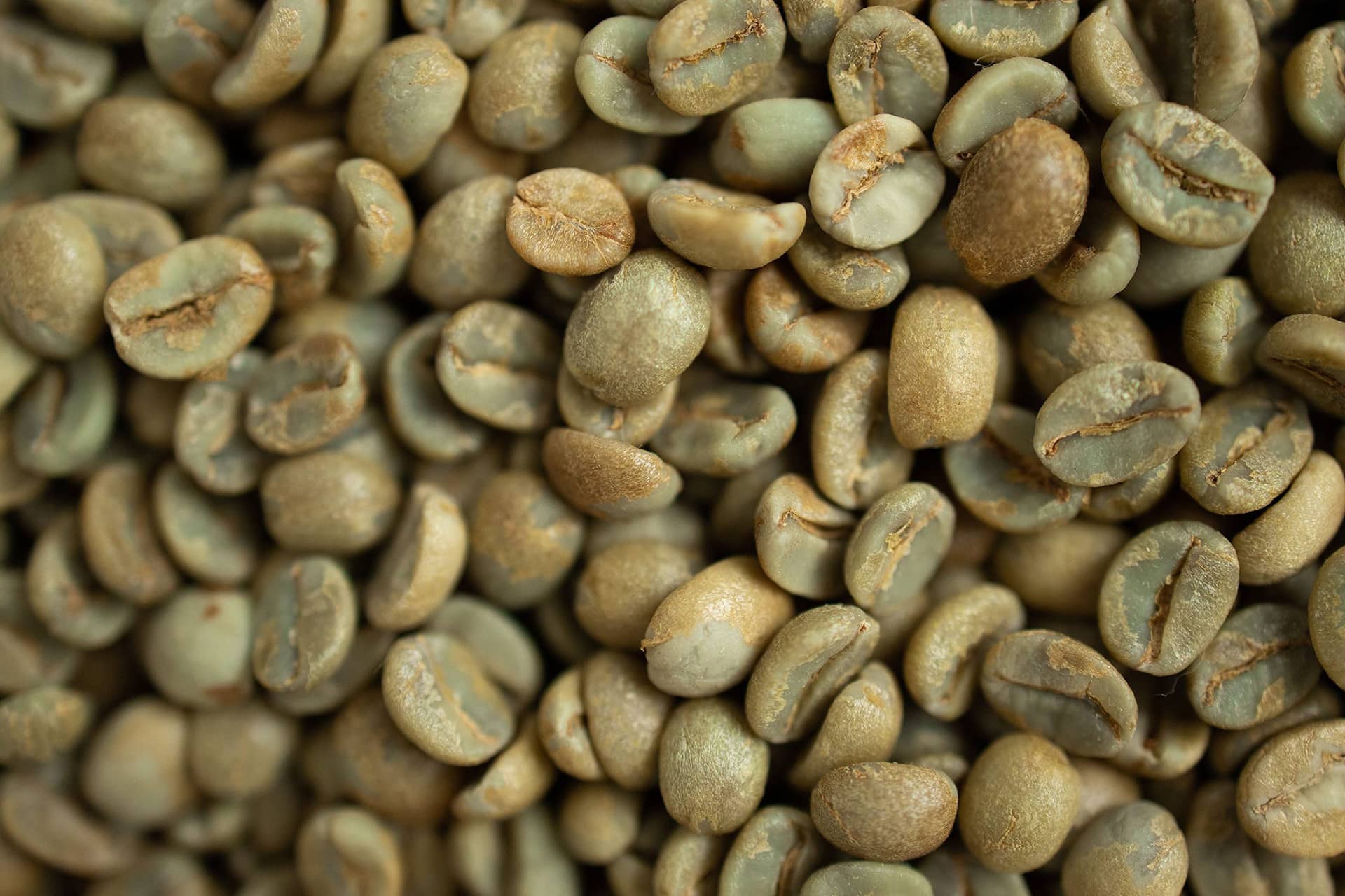 Detail of green coffee beans